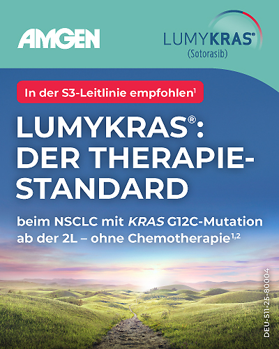 LUMYKRAS_Webbanner_400x500px_DEU-511-25-80004_aT_72ppi