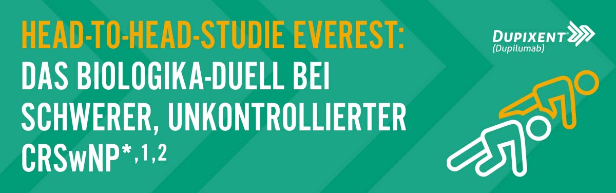 Header Everest