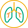 Icon Nasenpolypen