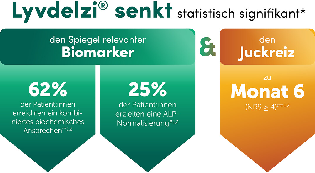 Lyvdelzi senkt statistisch signifikant