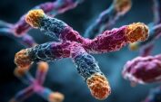 Lungenfibrose: Mutation in einem krebsrelevanten Gen als Ursache