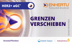 250918_Advertorial_ENHERTU_beim_HER2+_aGC_250x153