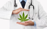 Neues Cannabisextrakt zeigt Wirkung bei chronischen Rückenschmerzen