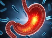 Autoimmungastritis und endokrine Tumore: Veränderungen der Magenmikrobiota spielen eine Rolle