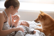 ERS 2025: Familienhunde scheinen Babys vor frühem Asthma zu schützen