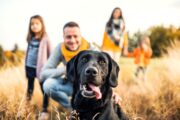 Babesiose-Hochsaison: Hunde bundesweit wirksam vor Zecken schützen