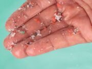Mit Toxinen beladene Nanopartikel gelangen über die Haut in den Körper