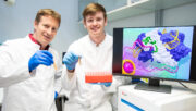 Effizientere Gentechnik dank neuer CRISPR-Cas9-Varianten