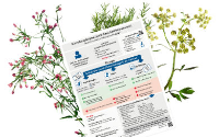 NL_GYN_Behandlungspfad 200x125