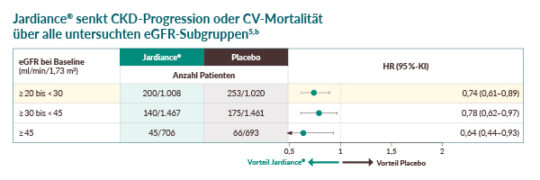 PBI_JAI_25009_PM_Subpopulation_CKD_Biermann_NL_600x200_V12