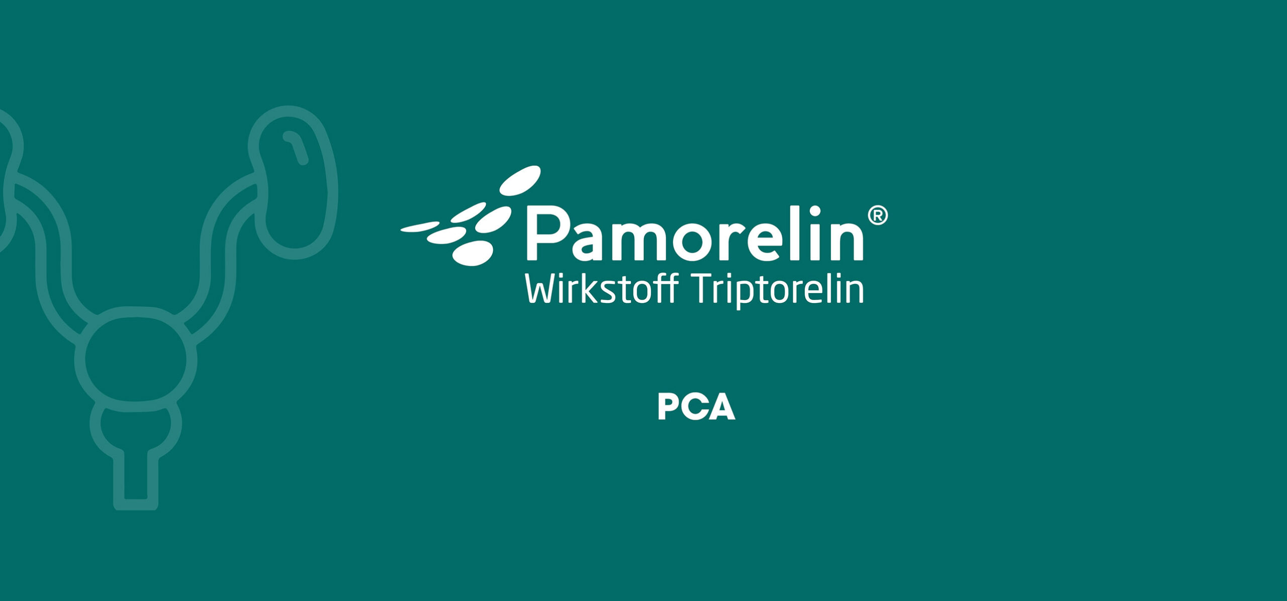 v1_2_PAM_Mailheader_Kundenwunsch_1284x600px_Retina_Display