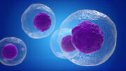 Typ-1-Diabetes: Immunzellen im Attacke-Modus identifiziert