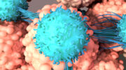 Langfristige Komplettremissionen nach T-Zell-Therapie bei HPV-bedingtem Krebs