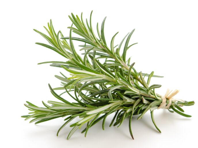 Rosmarinzweige