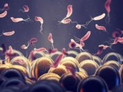 Helicobacter-pylori-Eradikation: Nivelliertes Krebsrisiko nach elf Jahren