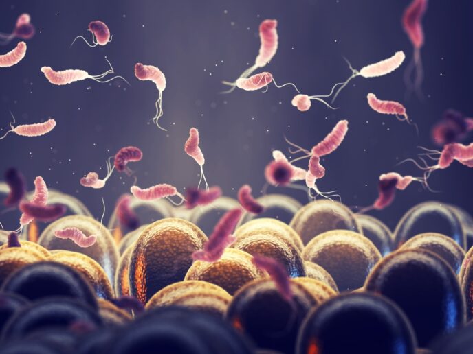 Darstellung on Helicobacter pylori