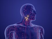 FSP1-Inhibitoren als neue Therapieoption beim metastasierten Melanom