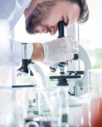 Scientists man working and look in to microscope in lab