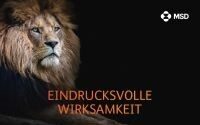 löwe_200x125px