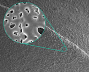 Mit innovativen Oberflächen schnell zu sicheren Knochenimplantaten