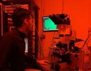 Sehprothese: Infrarot sehen mit organischen Elektroden