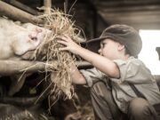 Muttermilch-Antikörper senken Allergie-Risiko bei Landkindern
