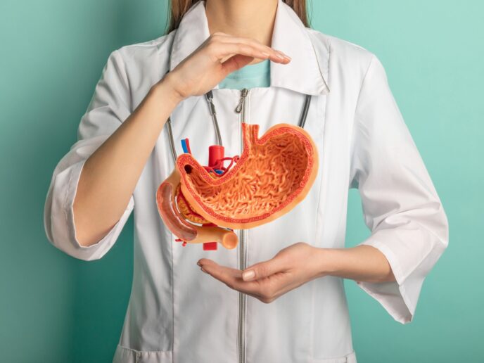 Modell eines Magens vor einer Ärztin