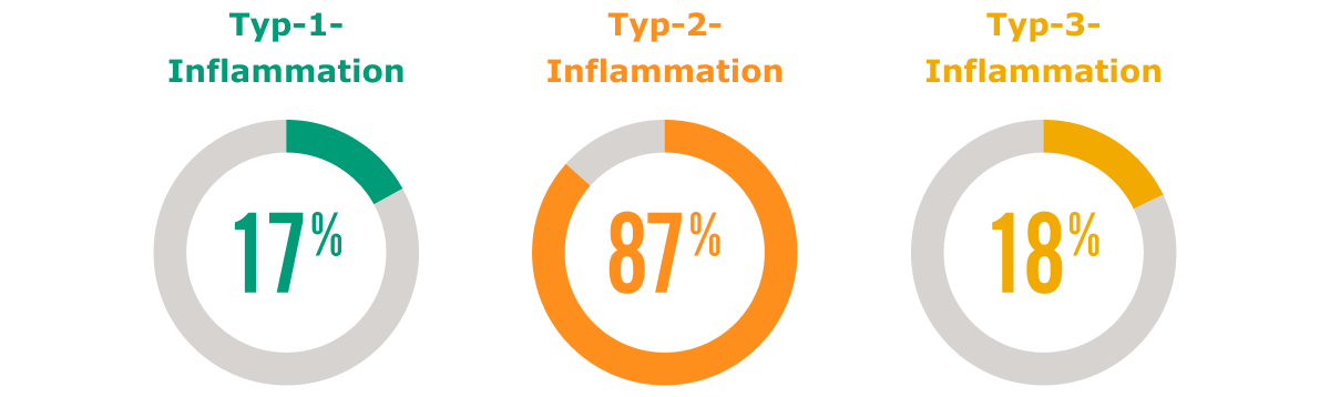 Inflammationstypen