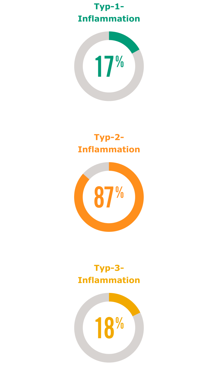Inflammationstypen