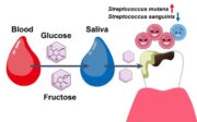 Süßer Zahn: Wie die Migration von Blutzucker die Kariesentwicklung bei Diabetes beeinflusst