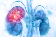 Gentherapie: Neuartiges System zur gezielten Behandlung einzelner Organe entwickelt