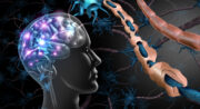 Genetischer Risikofaktor und Virusinfektion tragen gemeinsam zur Multiplen Sklerose bei