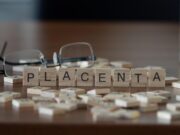 Plazenta accreta: Abnormale Kollagenstruktur als Ursache vermutet