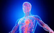 Neue Bildgebungstechnologie erkennt frühe Anzeichen von Herzkrankheiten durch die Haut
