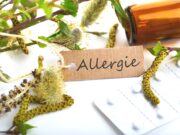 Plasmablasten als Treiber saisonaler Allergien