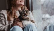 Brustkrebs: Hauskatzen als Schlüssel zum Verständnis &nbsp;