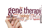 Gentherapien für Hörverlust: Adeno-assoziierte-Virus-Vektoren besser machen