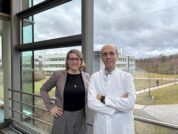 Neuer Mechanismus erklärt gefährliche COPD-Schübe bei Grippeinfektionen