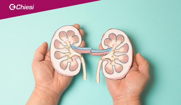 0188.2570 Chiesi Mngt NL biermann-medizin_Online-Banner_600x350_1