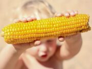 Wie das Immunsystem lernt, Nahrung zu tolerieren