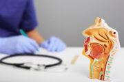 Laryngoplastik: Neue Bildgebungstechnik soll für mehr Präzision sorgen