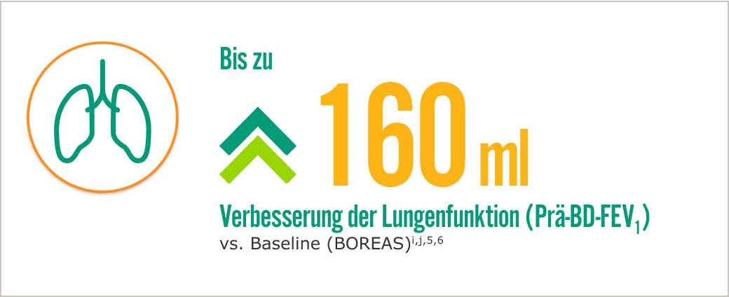 Grafik-Lungenfunktion