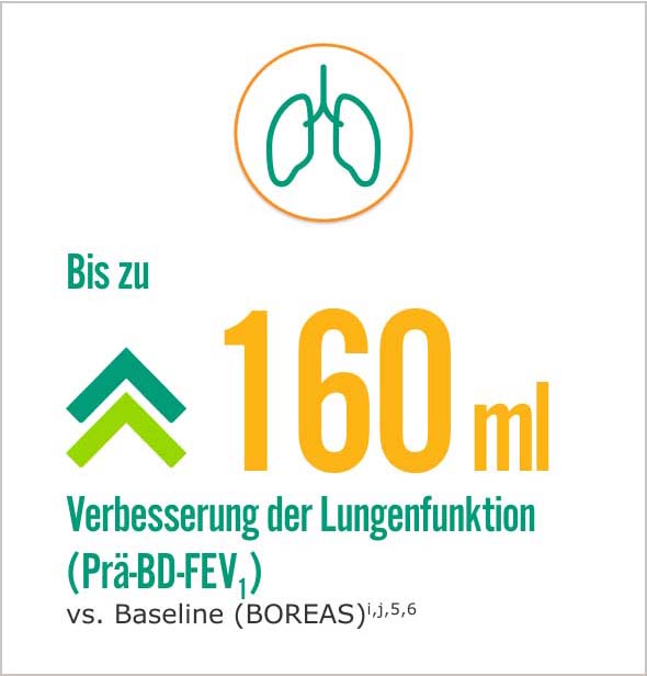 Grafik-Lungenfunktion