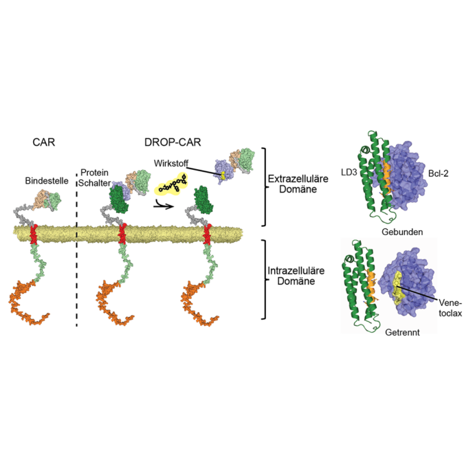 Schematische Darstellung eines DROP-CAR. Copyright: Leo Scheller
