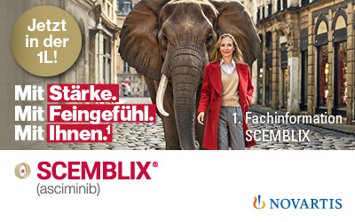 Scemblix-Onlinebanner_11-2025_NEU_08_200x125px