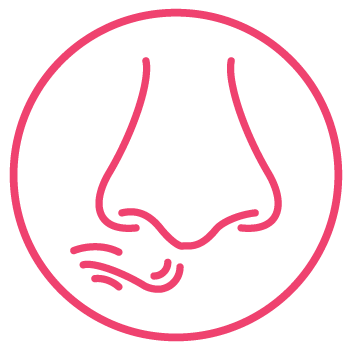 Icon: Verbesserung des Riechvermögens