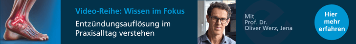26_Banner_Biermann_WiFWerz