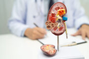 Adipositas als Risikofaktor für Nierenfunktionsabfall bei HFpEF