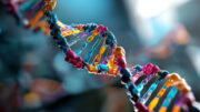 Molekulare Analysen könnten Behandlungschancen bei seltenem Weichteiltumor erhöhen
