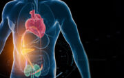 Luftverschmutzung: Schädigung des Herzens besonders bei Menschen mit kardiorenal-metabolischem Syndrom